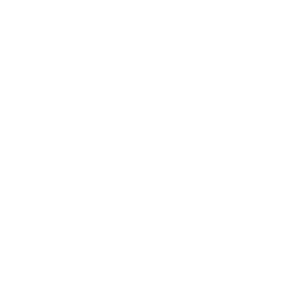 Budget Strategy Applied